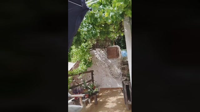 Dani_MalaPedro  18-06-2022